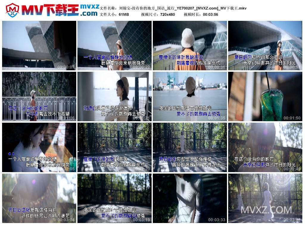 刘锦宝-没有你的地方_国语_流行_YE700207